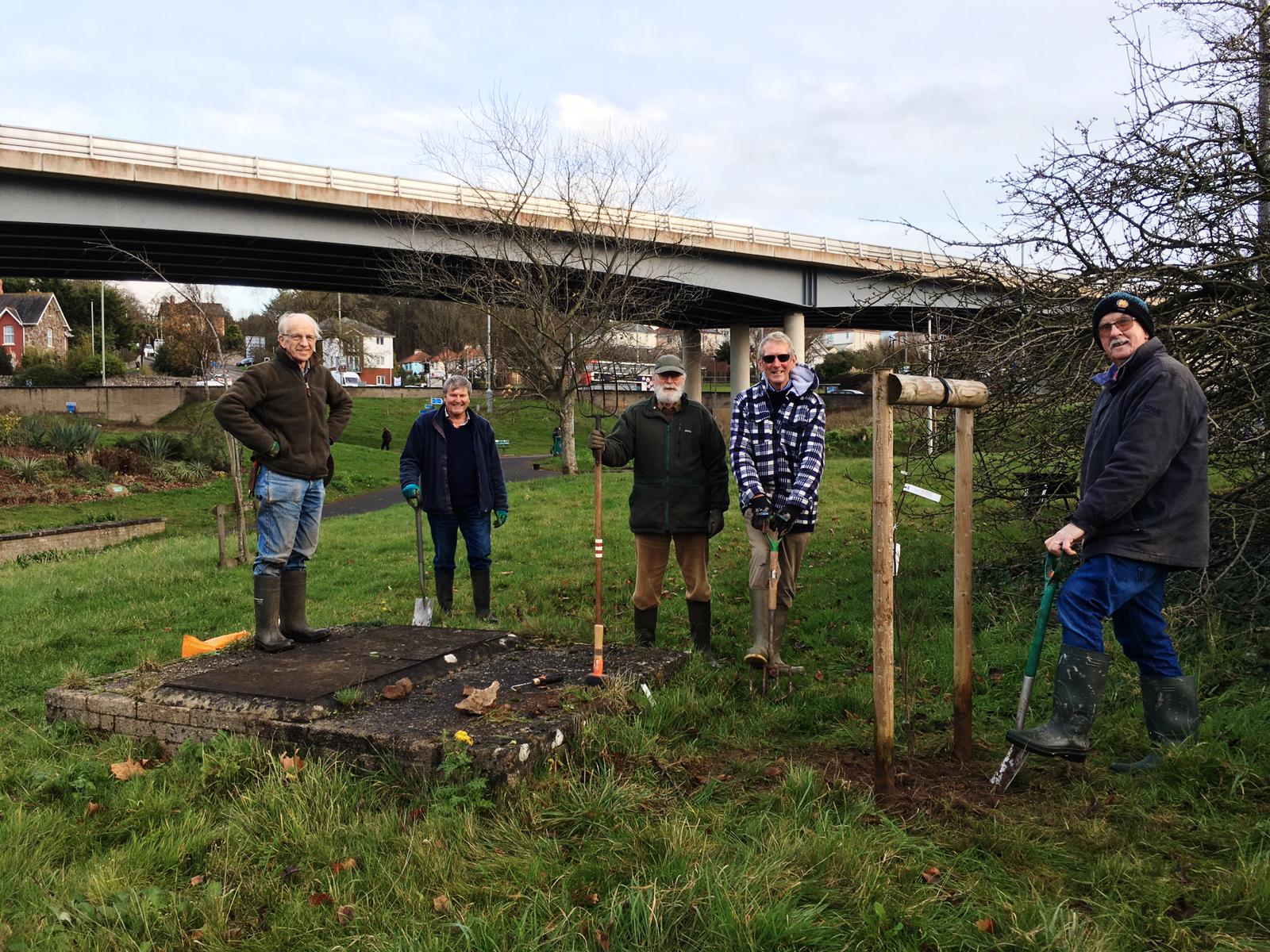 Celebrating National Tree Week – Welcome to the Buckland Centre, Newton ...